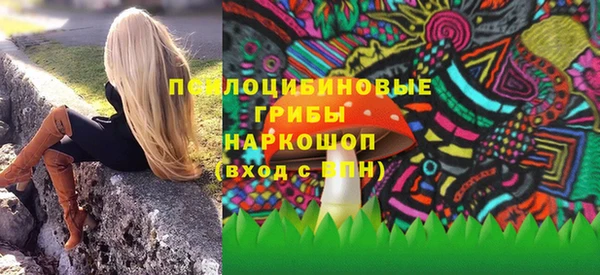 соль ск Богородск