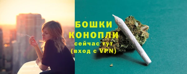 соль ск Белокуриха