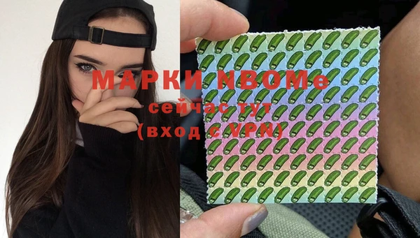 соль ск Белокуриха