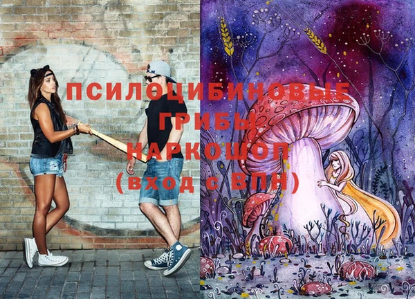 кокаин премиум Богородицк