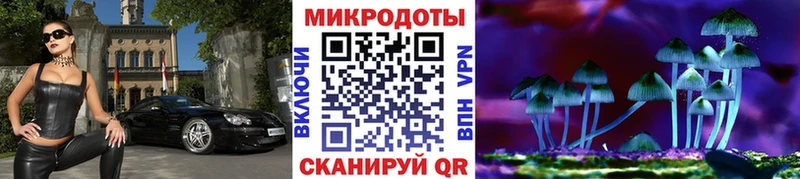 блэк спрут   Малаховка  Псилоцибиновые грибы ЛСД 